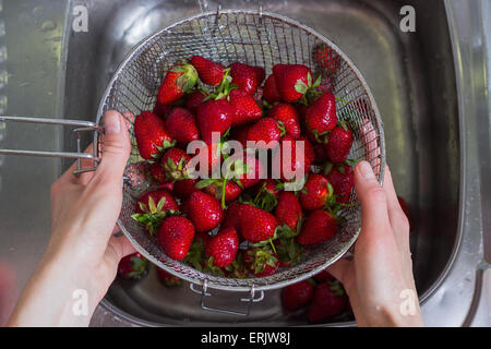 Donna di fragole di risciacquo, primo piano Foto Stock