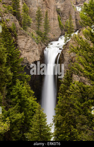 Caduta della torre, il Parco Nazionale di Yellowstone Foto Stock