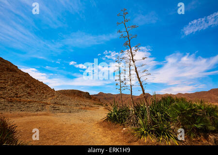 Almeria Playa del Monsul spiaggia di Cabo de Gata in Spagna Foto Stock