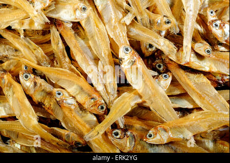 Piccoli pesci secchi sfondo Foto Stock