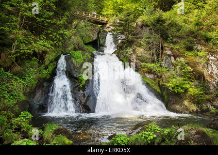 La parte superiore delle cascate di Triberg, Schwarzwald-Baar distretto, Baden-Wuerttemberg, Germania Foto Stock