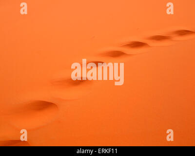 Tracce di cammello nel deserto di sabbia, Erg Chebbi desert, vicino a Merzouga, Marocco Foto Stock