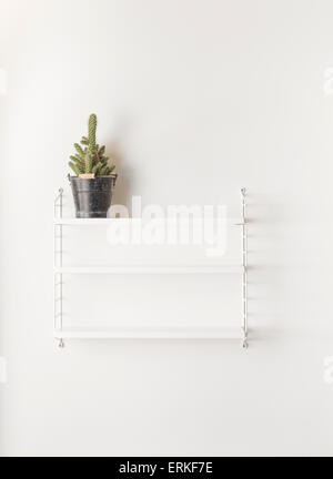Muro Bianco in home interni. Scaffale vuota con un cactus. Foto Stock