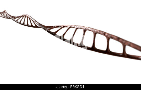 Una vista al microscopio di un DNA filamento di stile di carne su un sfondo isolato Foto Stock