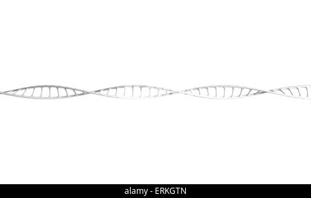 Una vista al microscopio di un DNA filamento di stile in un generico di colore bianco su uno sfondo isolato Foto Stock