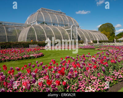 La Casa delle Palme e tulipani, Royal Botanic Gardens, Sito Patrimonio Mondiale dell'UNESCO, Kew, Greater London, England, Regno Unito, Europa Foto Stock