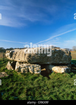 Cerca NW in ingresso alla camera di sepoltura di Lligwy tomba neolitica, Anglesey, con il suo massiccio calcareo di capstone c 25 t. Foto Stock