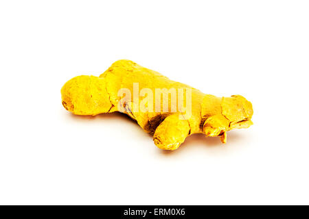 Radice di zenzero (Zingiber officinalis) freschi rizoma intaglio isolato tagliare lo sfondo bianco spazio copia Foto Stock