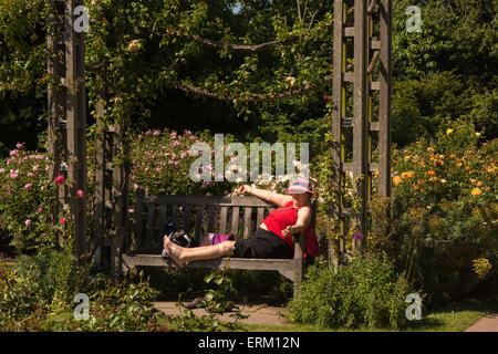 Londra, Regno Unito. Il 4 giugno, 2015. Regno Unito Meteo: un visitatore di Queen Mary's Gardens in Regent's Park si crogiola al sole e ammira i fiori in una bella e soleggiata giornata. Credito: Patricia Phillips/Alamy Live News Foto Stock