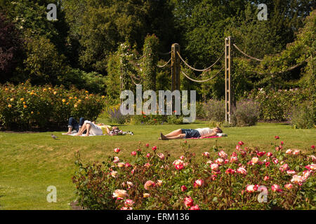 Londra, Regno Unito. Il 4 giugno, 2015. Regno Unito: Meteo ai visitatori di Queen Mary's Gardens in Regent's Park crogiolarvi al sole su una bella e soleggiata giornata. Credito: Patricia Phillips/Alamy Live News Foto Stock