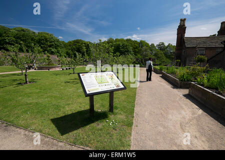 Visitatore femmina guardando intorno il giardino murato al Astley Hall a Chorley, Lancashire, Regno Unito. Foto Stock