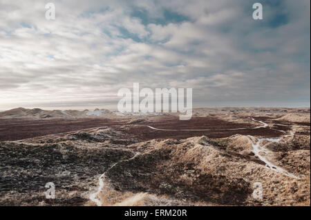 Paesaggio di Dune - Danimarca West Foto Stock