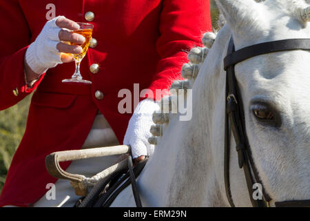 Un maestro di Foxhounds avente un drink in un incontro di suoneria. Foto Stock