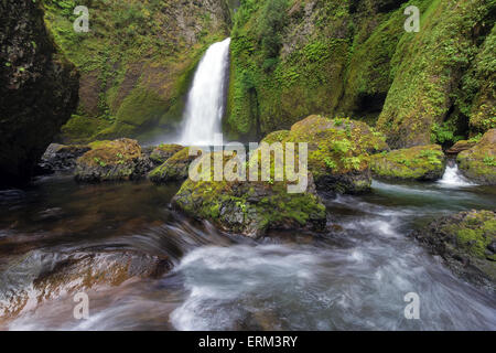 Wahclella Falls presso la Columbia River Gorge National Scenic Forest in Oregon Foto Stock