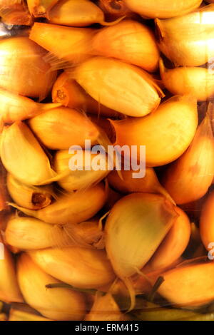 Aglio e Peperoncino verde sottaceti Foto Stock