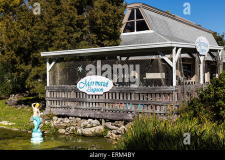 Weeki Wachee Springs State Park, Spring Hill, Florida, Stati Uniti d'America Foto Stock