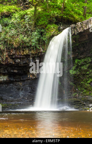 Sgwd Gwladus cascata, Pontneddfechan, Wales, Regno Unito. Il 4 giugno, 2015. Regno Unito meteo: le persone che si godono le cascate vicino Pontneddfechan Galles del Sud, hanno beneficiato di recenti piogge con cascate guardando al loro meglio. Galles del Sud ha goduto di un giorno di sole con temperature salendo a 17 gradi centigradi. Credito: Chris Stevenson/Alamy Live News Foto Stock