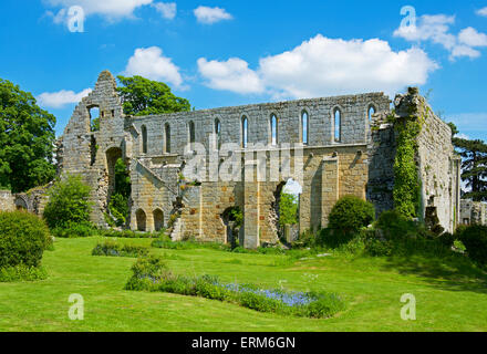 Jervaulx Abbey, vicino Oriente Witton, North Yorkshire, Inghilterra, Regno Unito Foto Stock