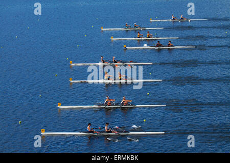 Doppia gara scull, Maadi Cup, regata sul lago, Karipiro Waikato, Isola del nord, Nuova Zelanda Foto Stock