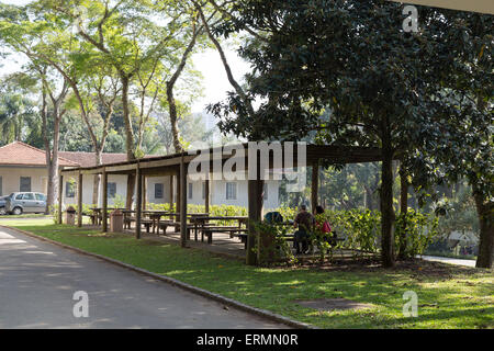 Sao Paulo, Brasile. Il 4 giugno, 2015. I visitatori sono visto in una zona di riposo in questa giornata di sole al Giardino Botanico (Jardim Botanico) di Sao Paulo durante la festa del Corpus Christi vacanze in Sao Paulo, Brasile. Credito: Andre M. Chang/ARDUOPRESS/Alamy Live News Foto Stock