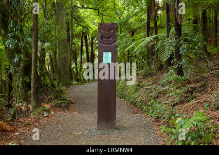 Carving Maori sulla via di Waireinga / Bridal Veil Falls, Waikato, Isola del nord, Nuova Zelanda Foto Stock