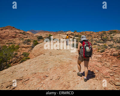 Avventurieri ad esplorare un deserto canyon slot; Hanksville, Utah, Stati Uniti d'America Foto Stock