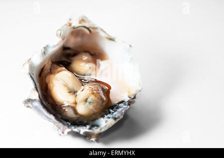 Ostriche sul suo guscio con salsa piccante prelibatezza locale in Trinidad e Tobago Foto Stock