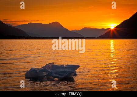 Iceberg si illumina in oro al tramonto, ghiacciaio Portage, Kenai Peninsula; Alaska, Stati Uniti d'America Foto Stock