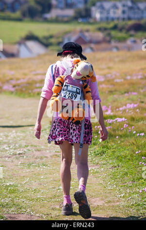 Tigger va a piedi lungo le scogliere di Freshwater all'Isola di Wight, Hampshire UK nel mese di maggio Foto Stock