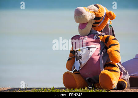 Tigger gode della vista sulla Freshwater Bay, Isle of Wight, Hampshire UK, nel mese di maggio Foto Stock