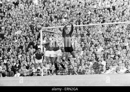 La pre stagione amichevole a Highbury. Arsenal 3 v Glasgow Rangers 0. Rangers Alex Ferguson provoca problemi per il portiere Jim Furnell e l arsenale di difesa. 5 agosto 1967 Foto Stock