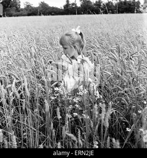 Fratelli, Helen (3) e Paul Burrows (9) da Waterloo, London, godetevi il loro primo giorno in campagna in una fattoria in Chipperfield, Herts, 7 settembre 1956. Foto Stock