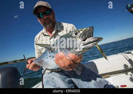 Fisherman tenendo un falso tonno bianco alalunga, pesca del Capo; Martha's Vineyard, Massachusetts, Stati Uniti d'America Foto Stock