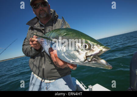 Fisherman tenendo un falso tonno bianco alalunga, pesca del Capo; Martha's Vineyard, Massachusetts, Stati Uniti d'America Foto Stock