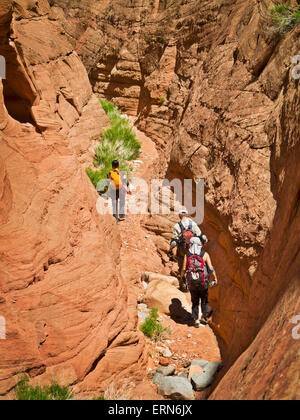 Avventurieri ad esplorare un deserto canyon slot; Hanksville, Utah, Stati Uniti d'America Foto Stock