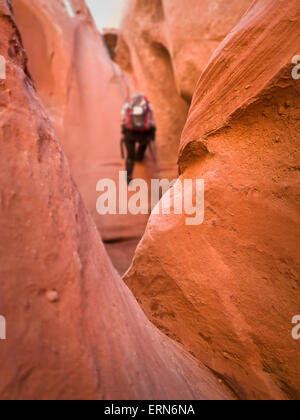 Avventurieri ad esplorare un deserto canyon slot; Hanksville, Utah, Stati Uniti d'America Foto Stock