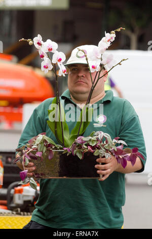 Wimbledon Londra,UK. 5 Giugno 2015. Il personale di terra portare addobbi floreali e fissare il punteggio elettronici schede centro sopra corte nelle preparazioni per il 2015 Erba di Wimbledon court tennis campionati che inizia il 29 giugno presso l'(AELTC) All England Lawn Tennis Club Foto Stock