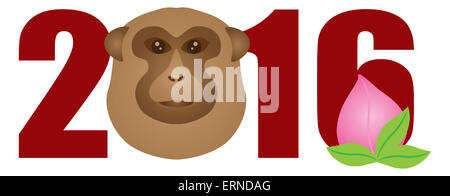 2016 Nuovo anno lunare cinese della scimmia i numeri isolati su sfondo bianco Illustrazione a colori Foto Stock