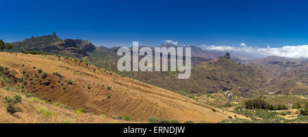 Gran Canaria, Caldera de Tejeda in maggio, erbe stanno asciugando fuori sotto il sole forte Foto Stock