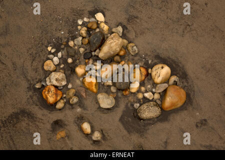 Rocce sulla spiaggia della baia del Delaware, Delaware Foto Stock