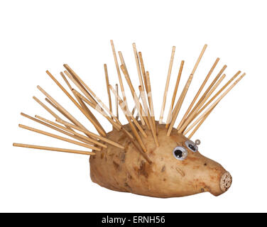 Riccio, istrice o spinosa echidna realizzato da patata dolce con gli occhi di plastica e la massa delle spine di legno su sfondo bianco Foto Stock