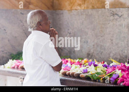 Città sacra di Anuradhapura, buddista uomo pregando in Sri Maha Bodhi in Mahavihara (il grande monastero), Sri Lanka, Asia Foto Stock