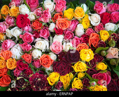 Rose colorate presso il mercato dei fiori in Aix en Provence. La Francia. Foto Stock