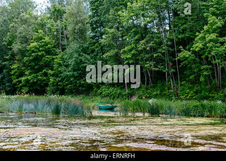 Verde pesca barca ormeggiata sul fiume Venta, Kuldiga, Lettonia Foto Stock
