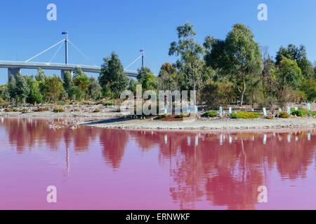 Lago Rosa, Westgate Park, Port Melbourne, Melbourne, Victoria, Australia Foto Stock