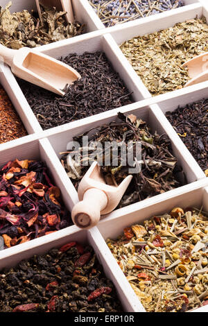 Varie di tè in una scatola Foto Stock