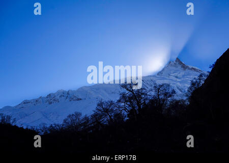 Il Manaslu al tramonto. A 8156 metri (26,759 piedi) Il Manaslu è l'ottava più alto picco sul pianeta. Foto Stock