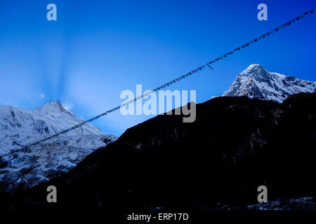 Il Manaslu e bandiere di preghiera al tramonto. A 8156 metri (26,759 piedi) Il Manaslu è l'ottava più alto picco sul pianeta. Foto Stock