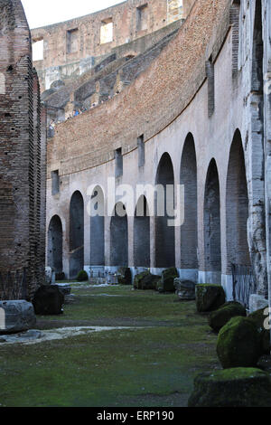 L'Italia. Roma. Il Colosseo (Colosseo) o Anfiteatro flaviano. All'interno. Foto Stock