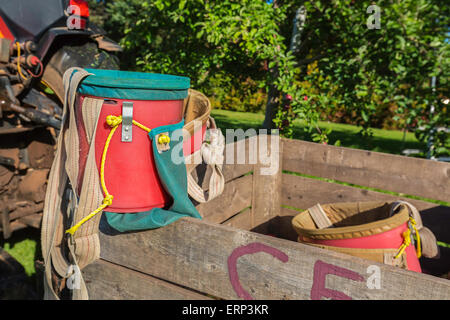 Apple sacchi di prelievo in un commerciale apple Orchard. Foto Stock